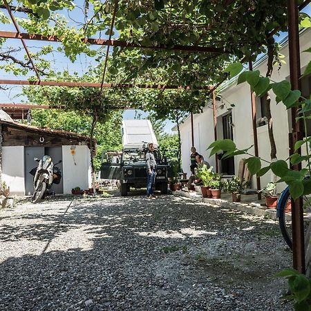 Eco Garten Guest House Shkodër 외부 사진