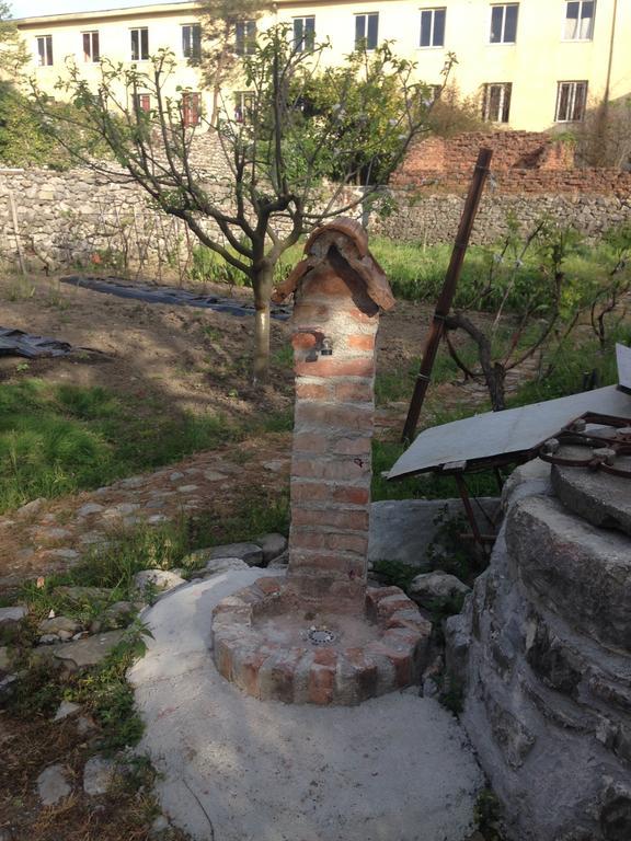 Eco Garten Guest House Shkodër 외부 사진