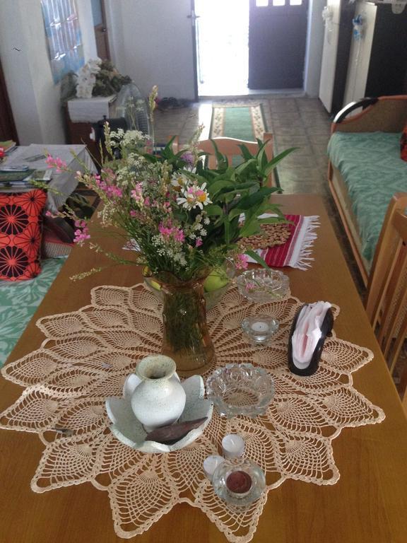 Eco Garten Guest House Shkodër 외부 사진