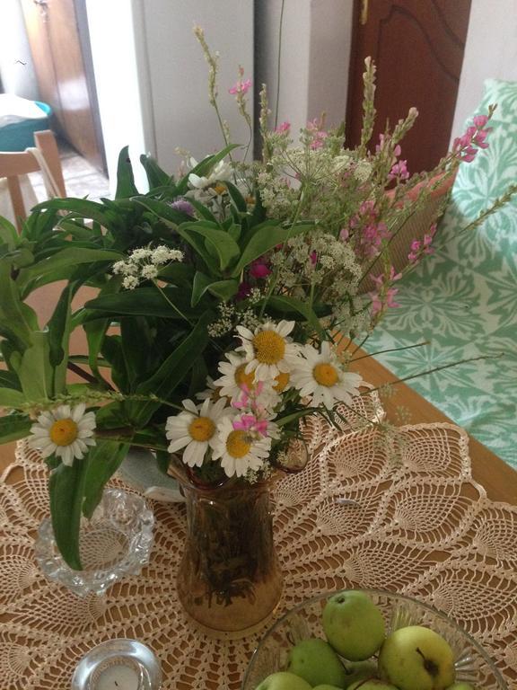 Eco Garten Guest House Shkodër 외부 사진