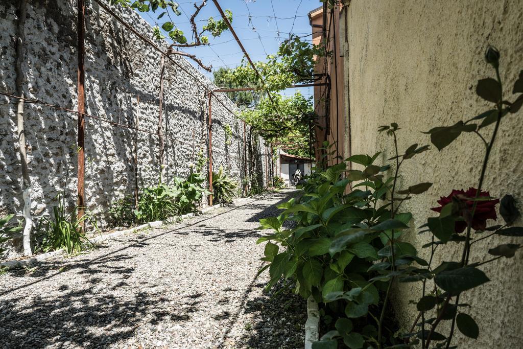 Eco Garten Guest House Shkodër 외부 사진