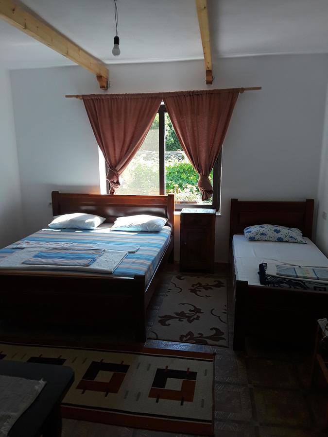 Eco Garten Guest House Shkodër 외부 사진