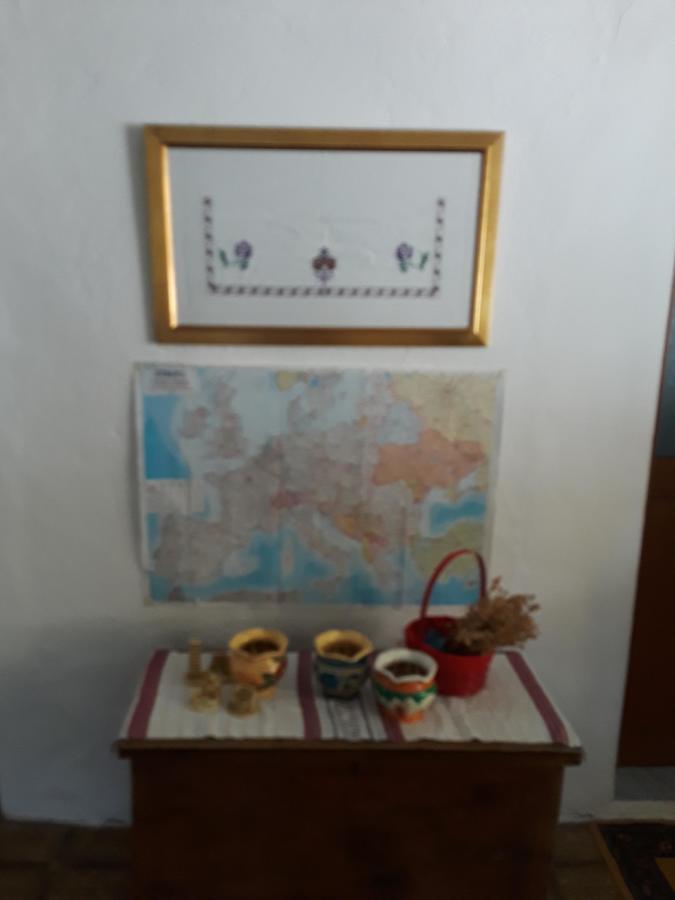 Eco Garten Guest House Shkodër 외부 사진